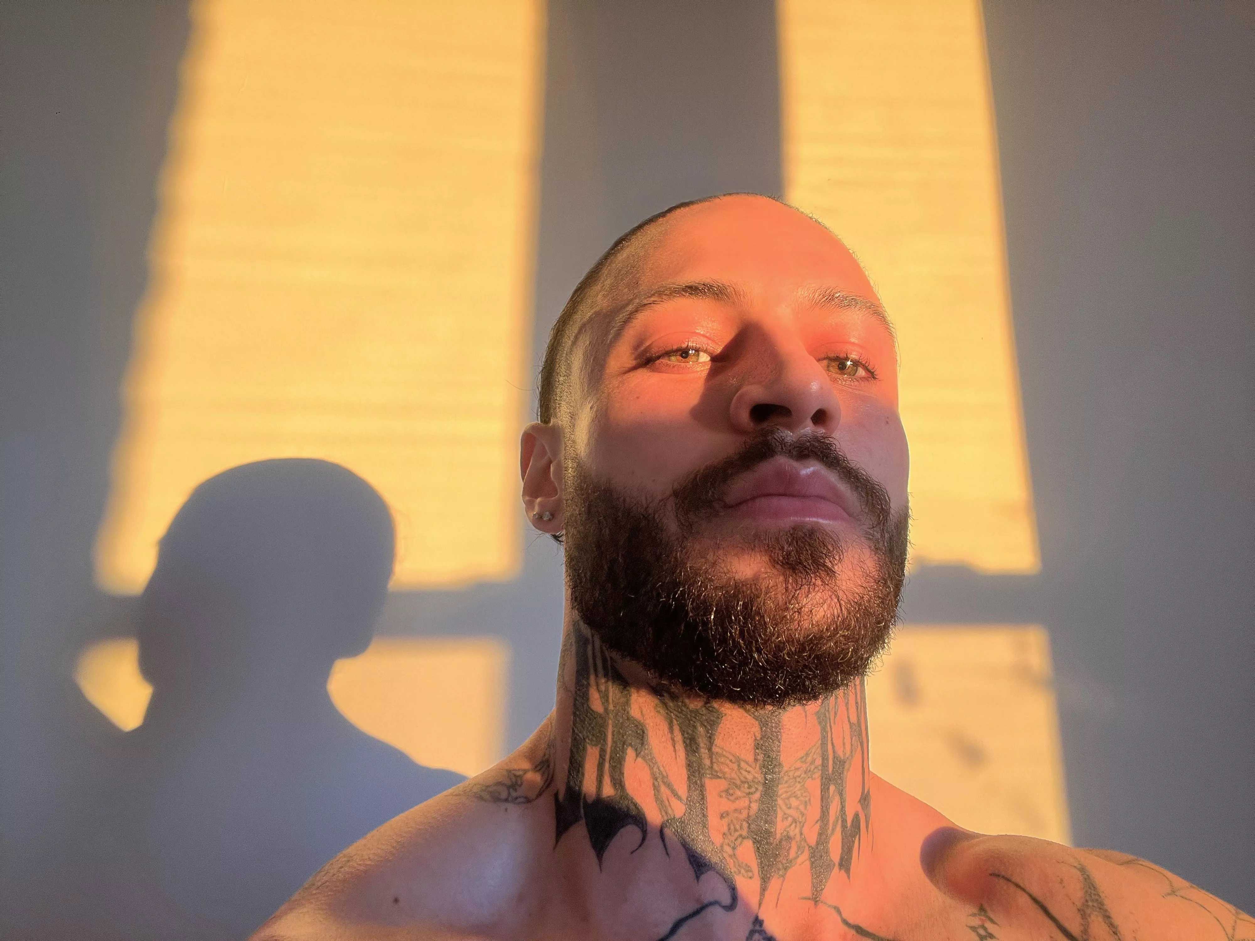 catching some sunlight :) posted by bodiedbycharlie