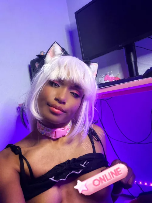 collared and cute :3 by hatsunekiyuu