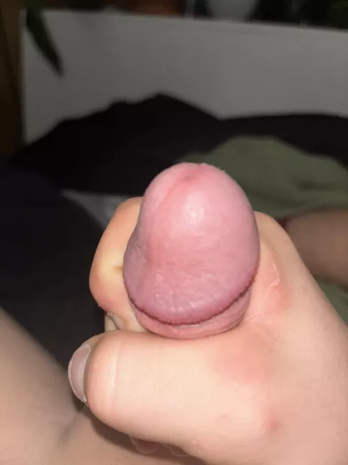 cum by Alone_Suggestion_383