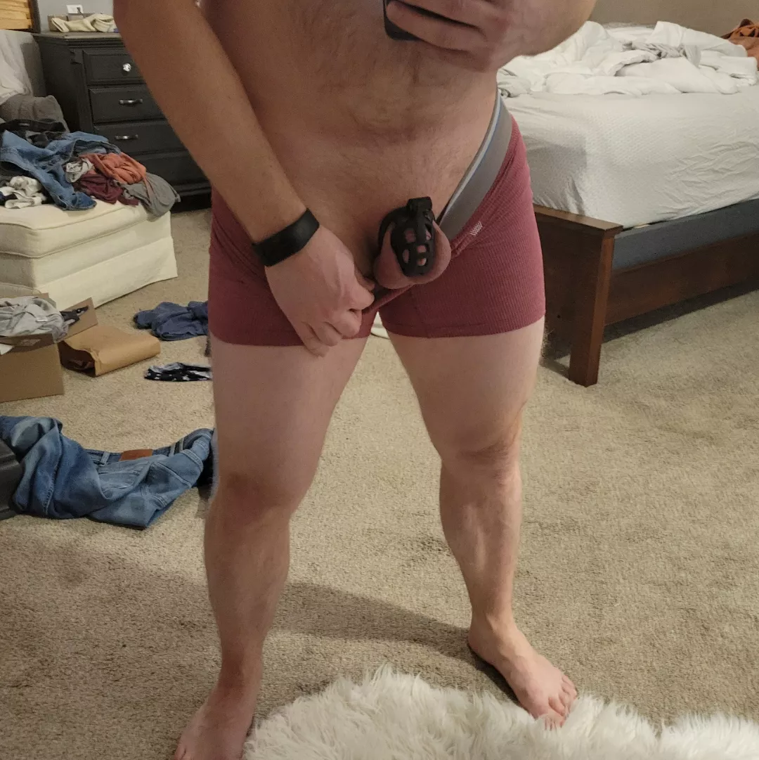 Definitely on the wild side for me posted by throwawaylurk283