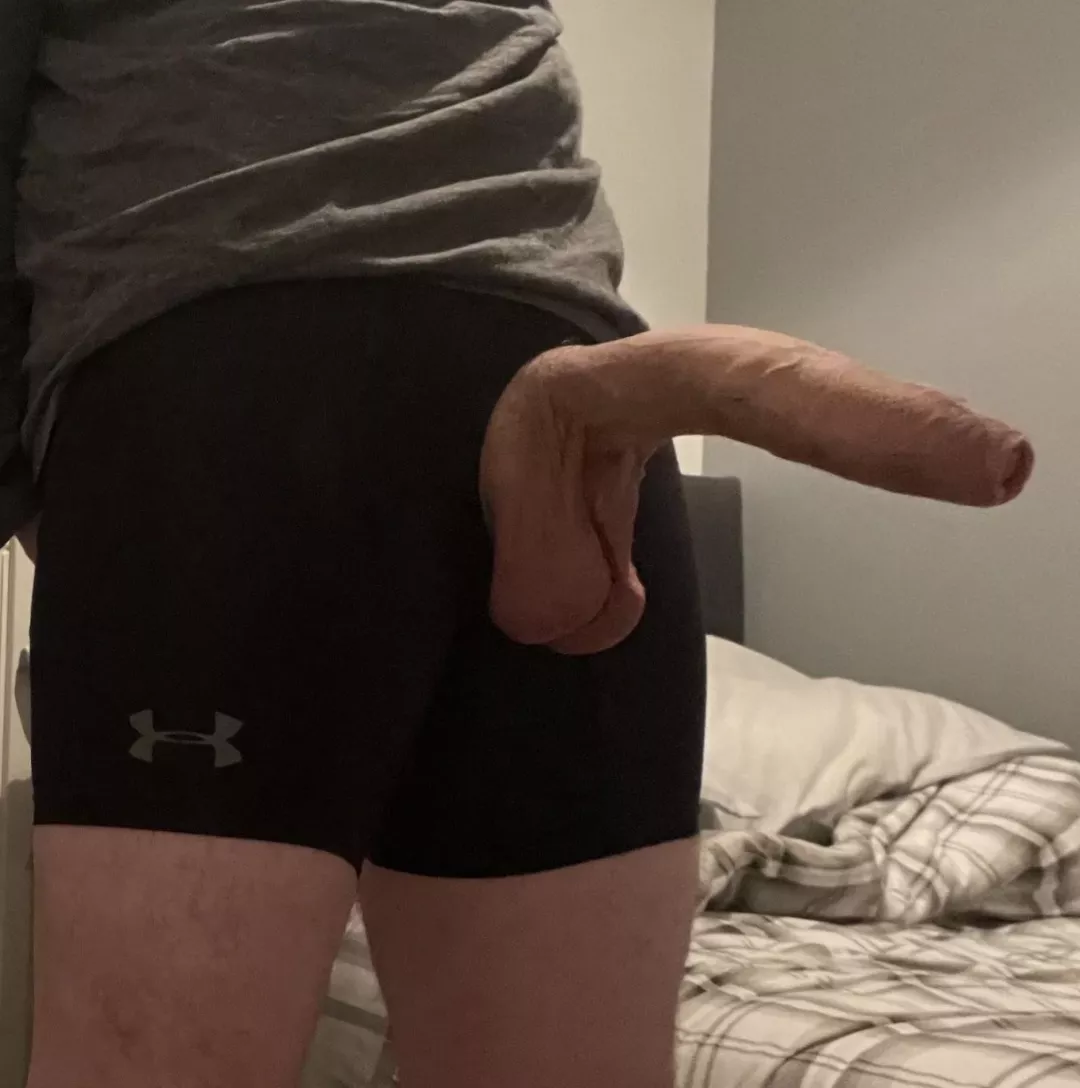 Do you like my cock? posted by alwight007