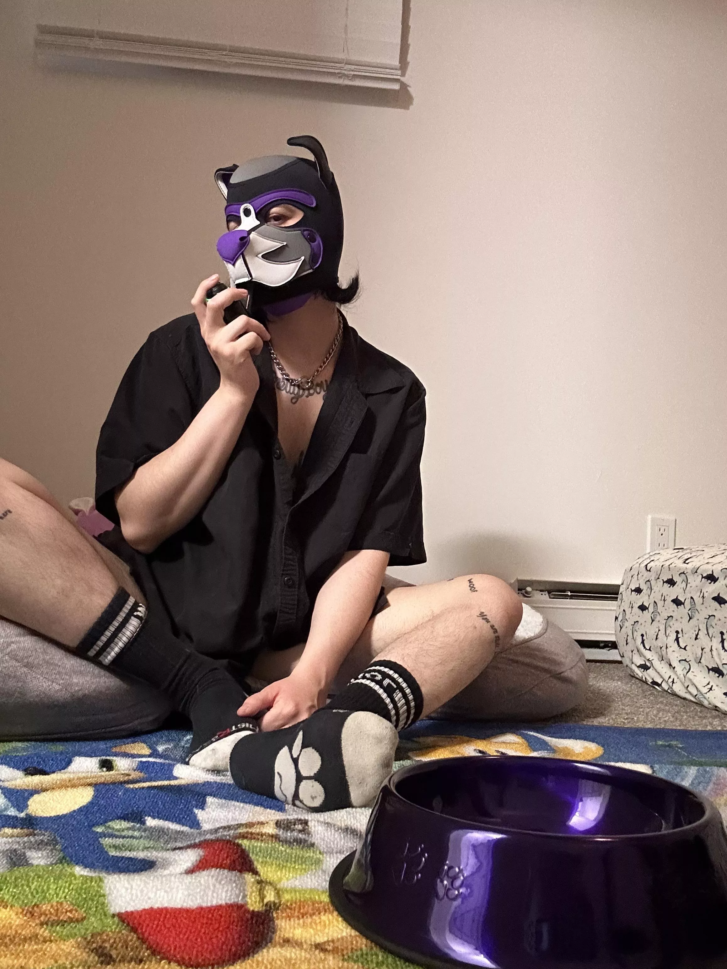 Do you like my new puppy set up?? Still need to put my flag up but it’s almost done posted by Tranzpuppy