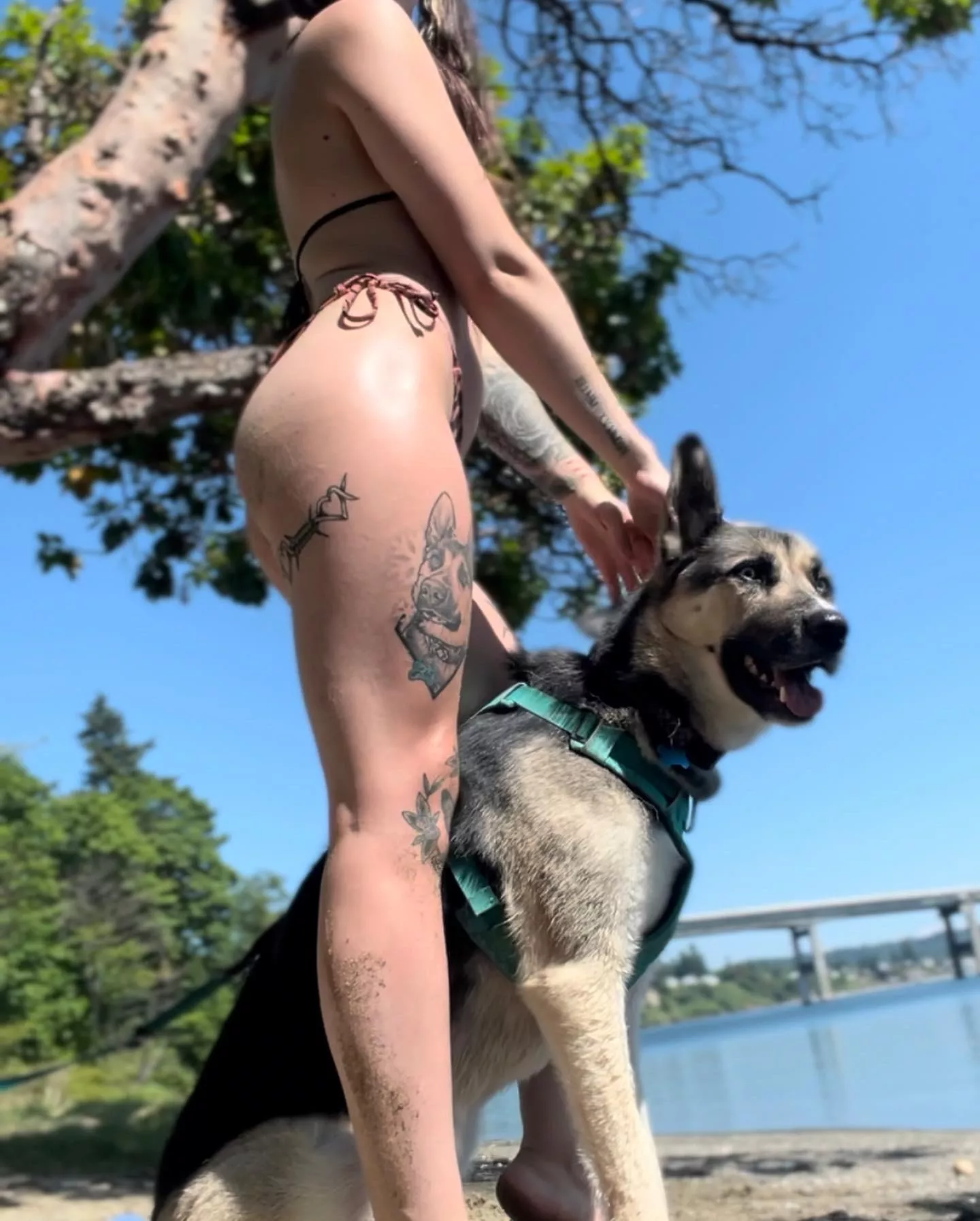 Do you want your face tattooed on my legs too? posted by caiopsm