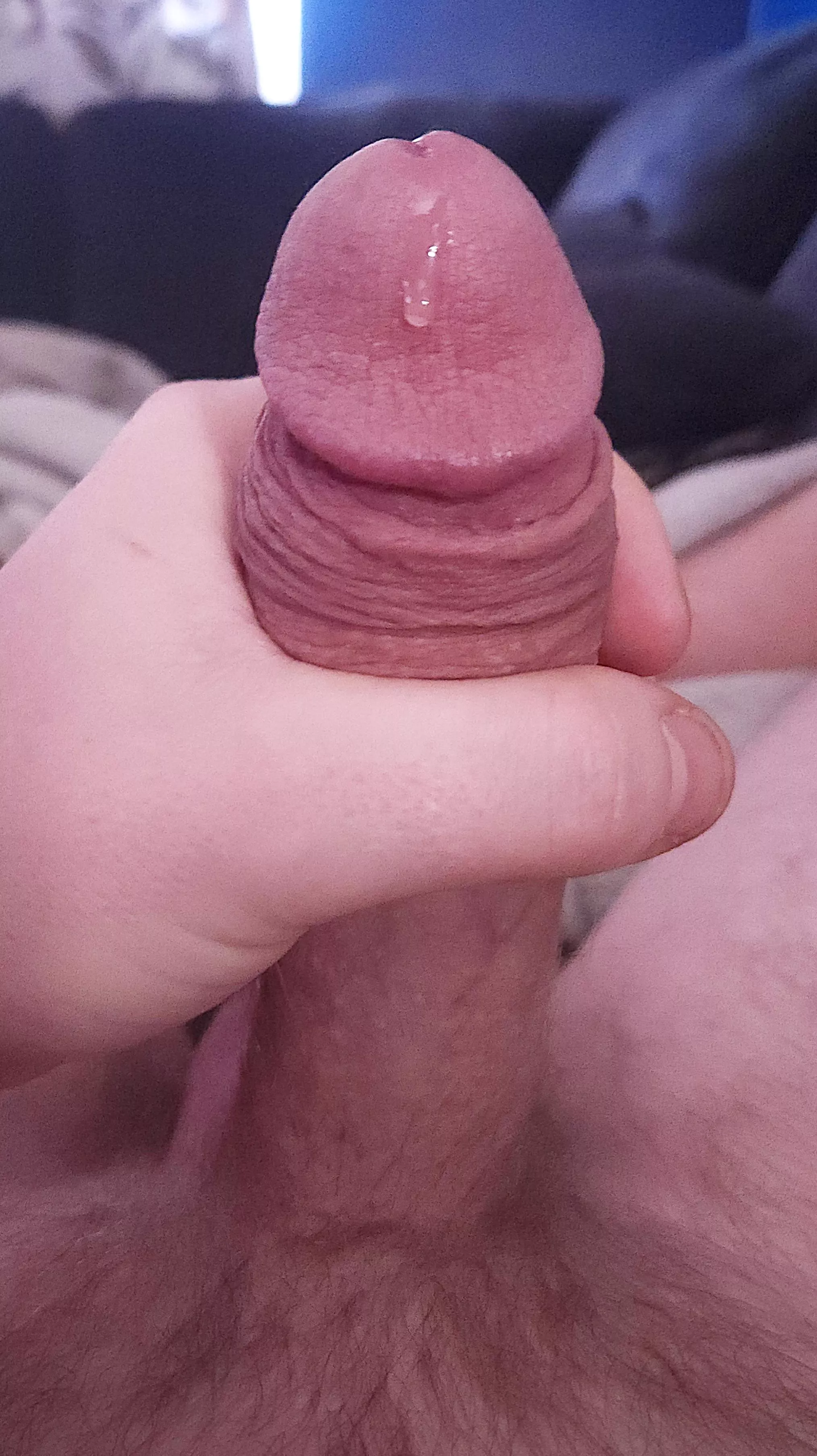 Edging and so horny posted by mywifeandfavs