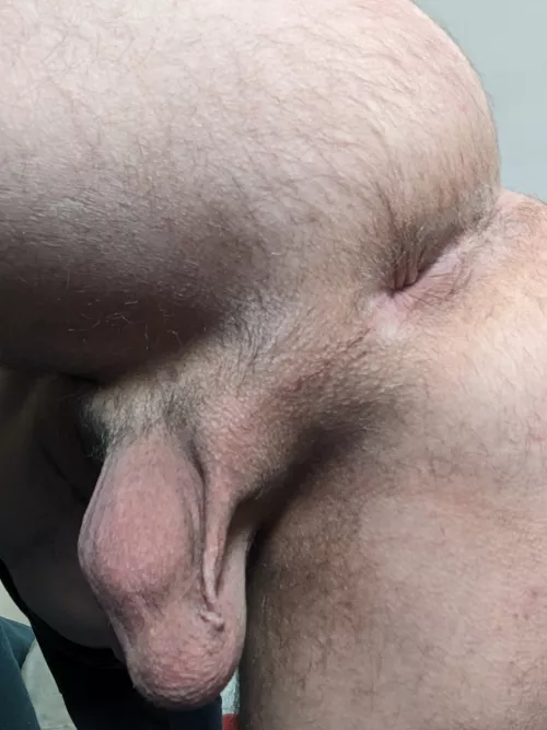 Furry by hardworkin8