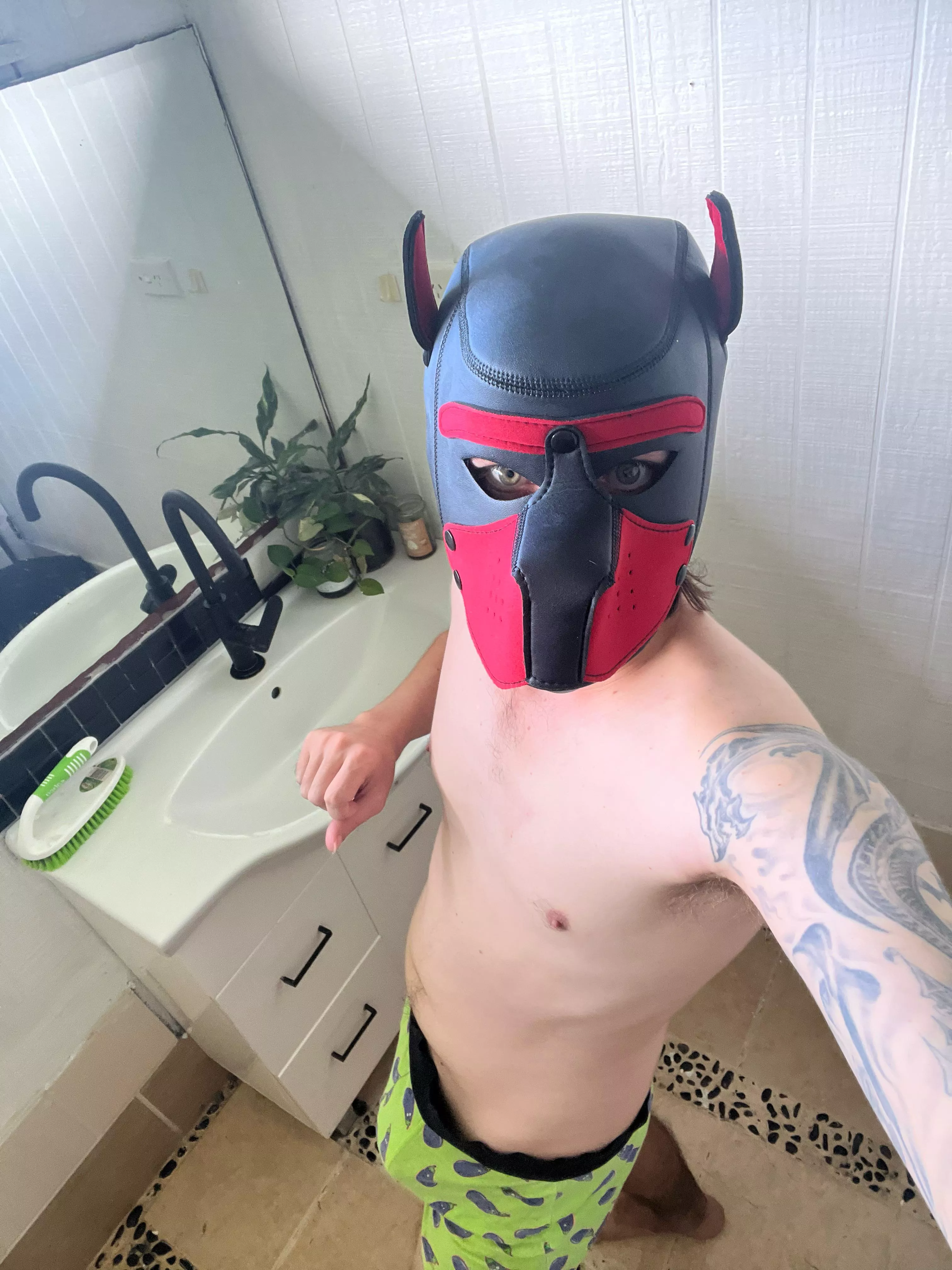 Getting ready for walkies posted by Valuable_Oil_5479