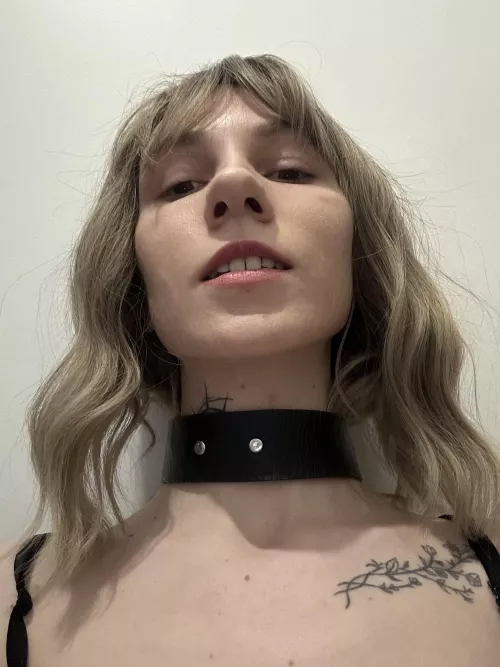 I love to be collared by JeanieHall