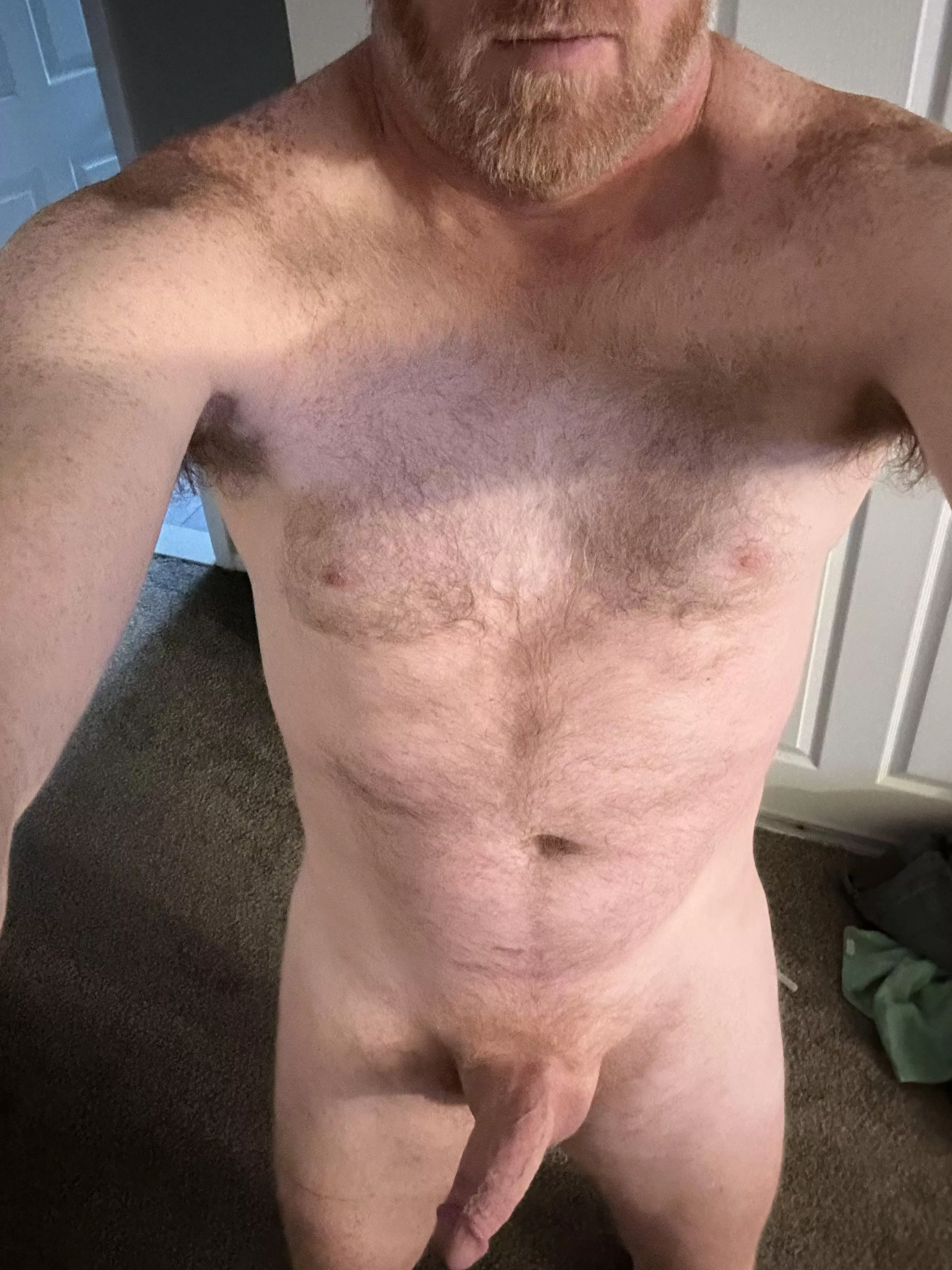 I trimmed the beard a little, is it to short? posted by bearfedging