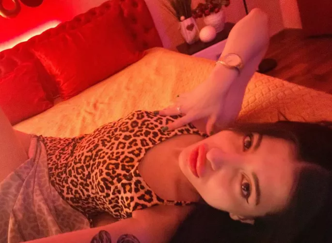 It is enough to make a cat laugh by suteljeui