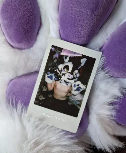 Just wanted to share this cute picture in my new fursuit! 💜 by lilpixiekitten