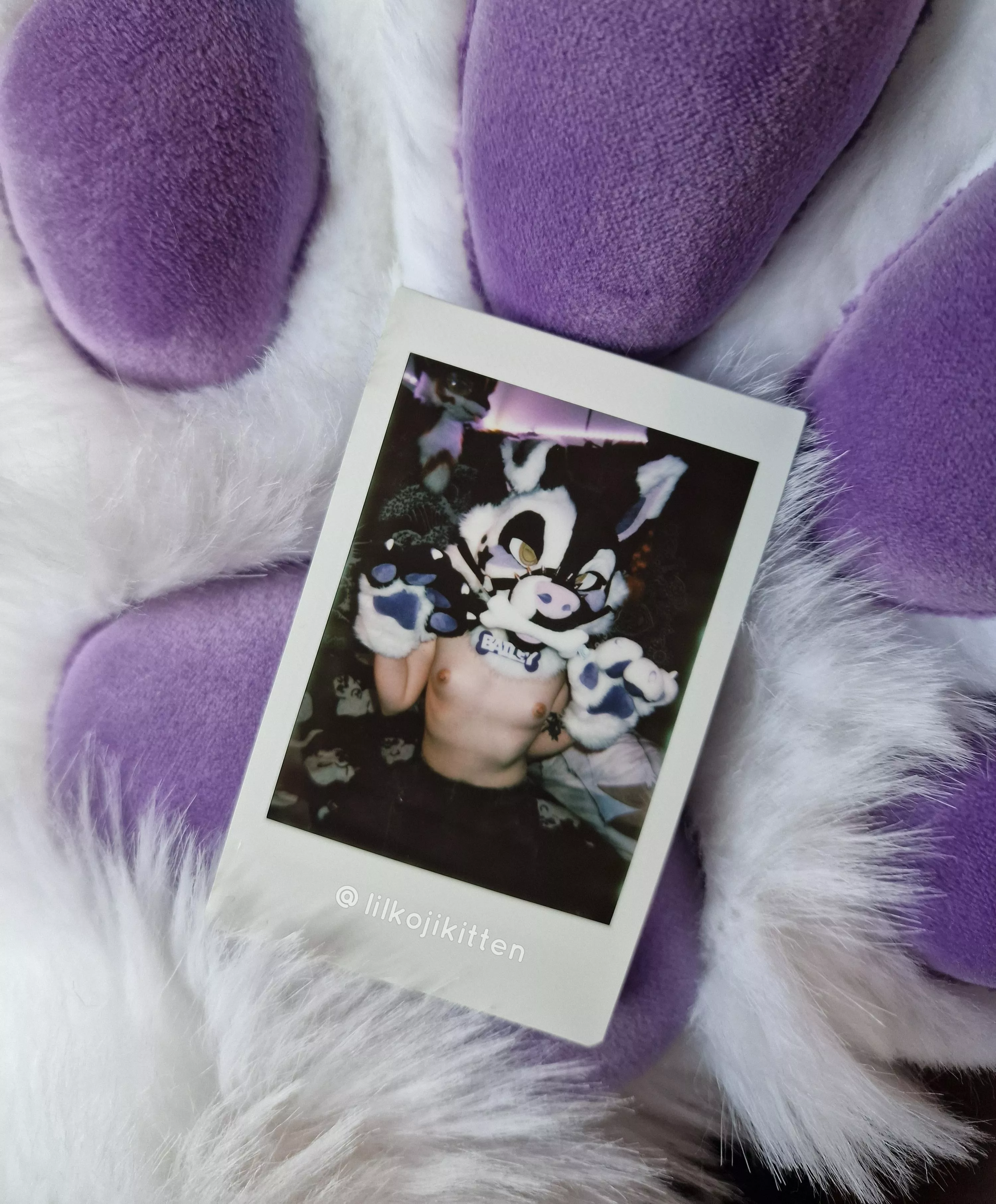 Just wanted to share this cute picture in my new fursuit! 💜 posted by lilpixiekitten