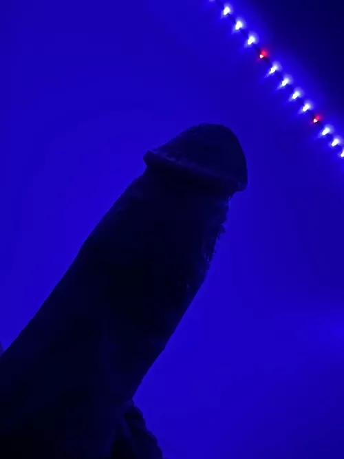 Looking good under the lights by Fickle_Mountain_8380