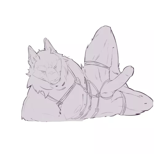 [M] Male Shibarii Wolf #wip (artwork done by me, Pinkfangsugar ) by Pinkfangsugar