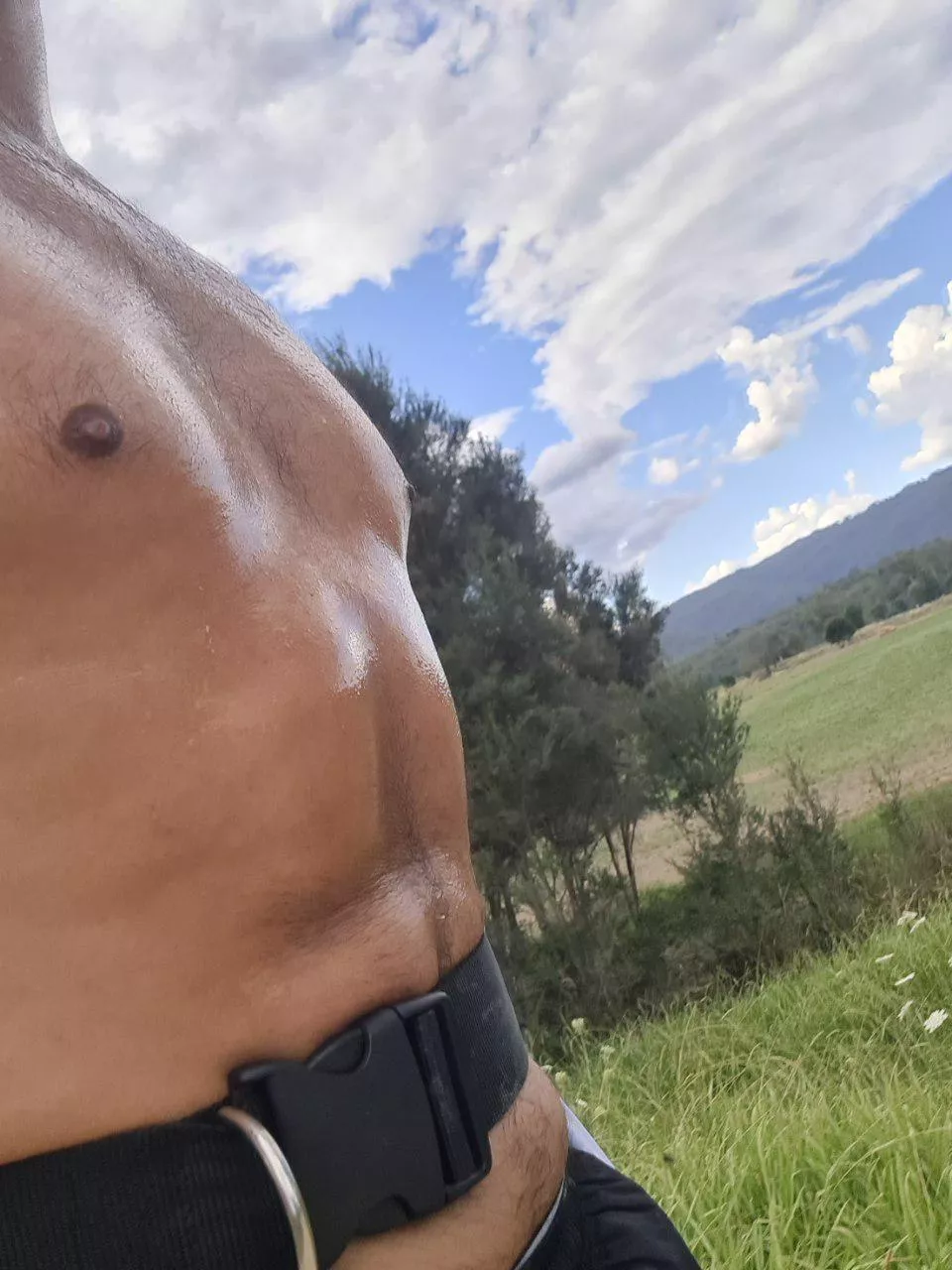  maybe it was a bit hot to take the dog for a run posted by No_Decision3365