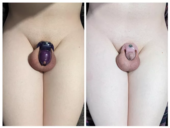 My chastity progress so far 🔐💕 by NorthernxBorn