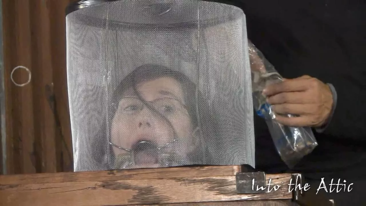 Naomi posted by Redditposterize