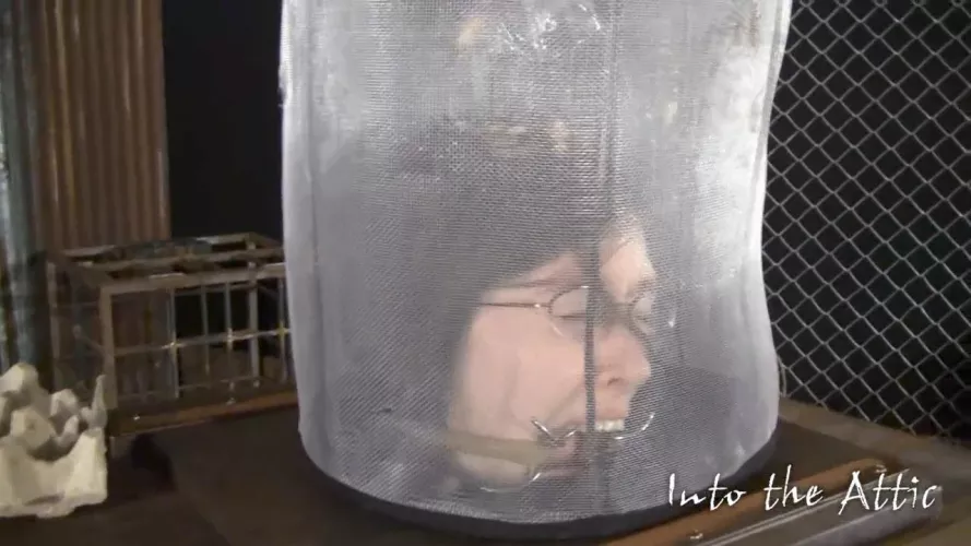 Naomi by Redditposterize