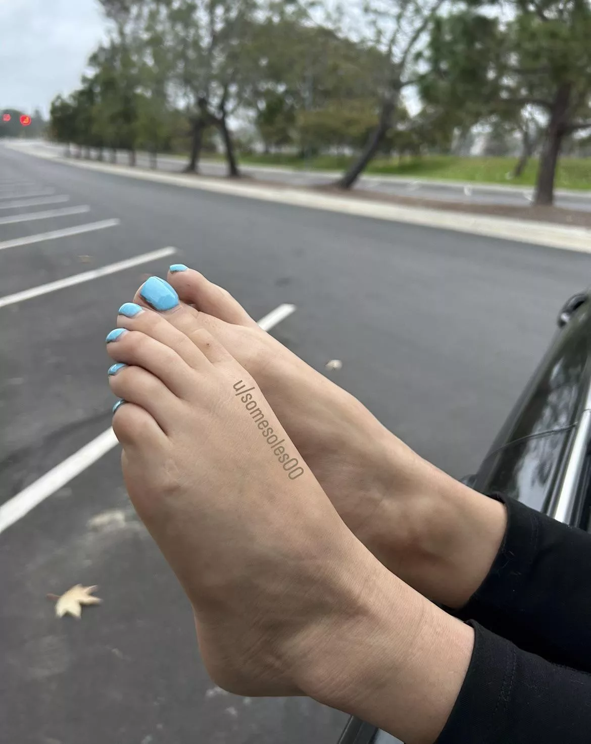 Park here for a quick sniff 🤭 posted by somesoles00