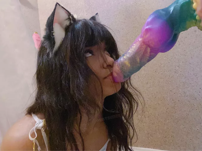 Pre breeding nuzzles :3 by hatsunekiyuu