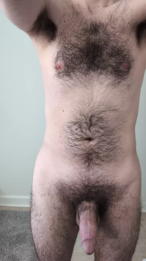 Showing off my chest hair and my cock by Rod-Hard7