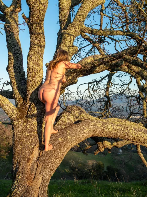 🌳Tree Pose Tuesday 🌳(more in comments) by baylaurelphoto