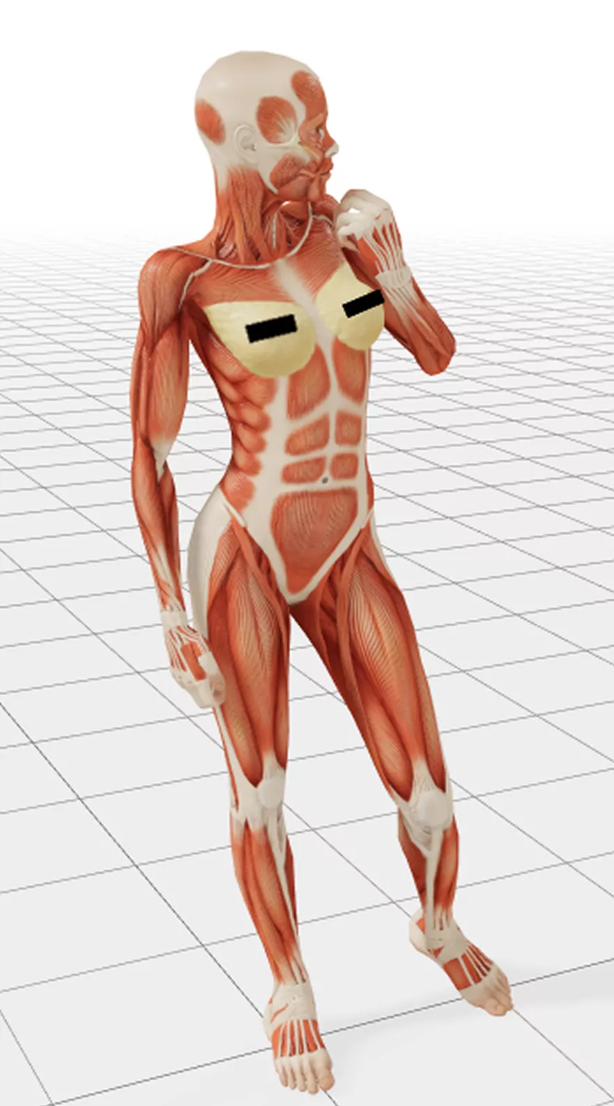 Would this be okay to have on my stream? posted by Stxrri