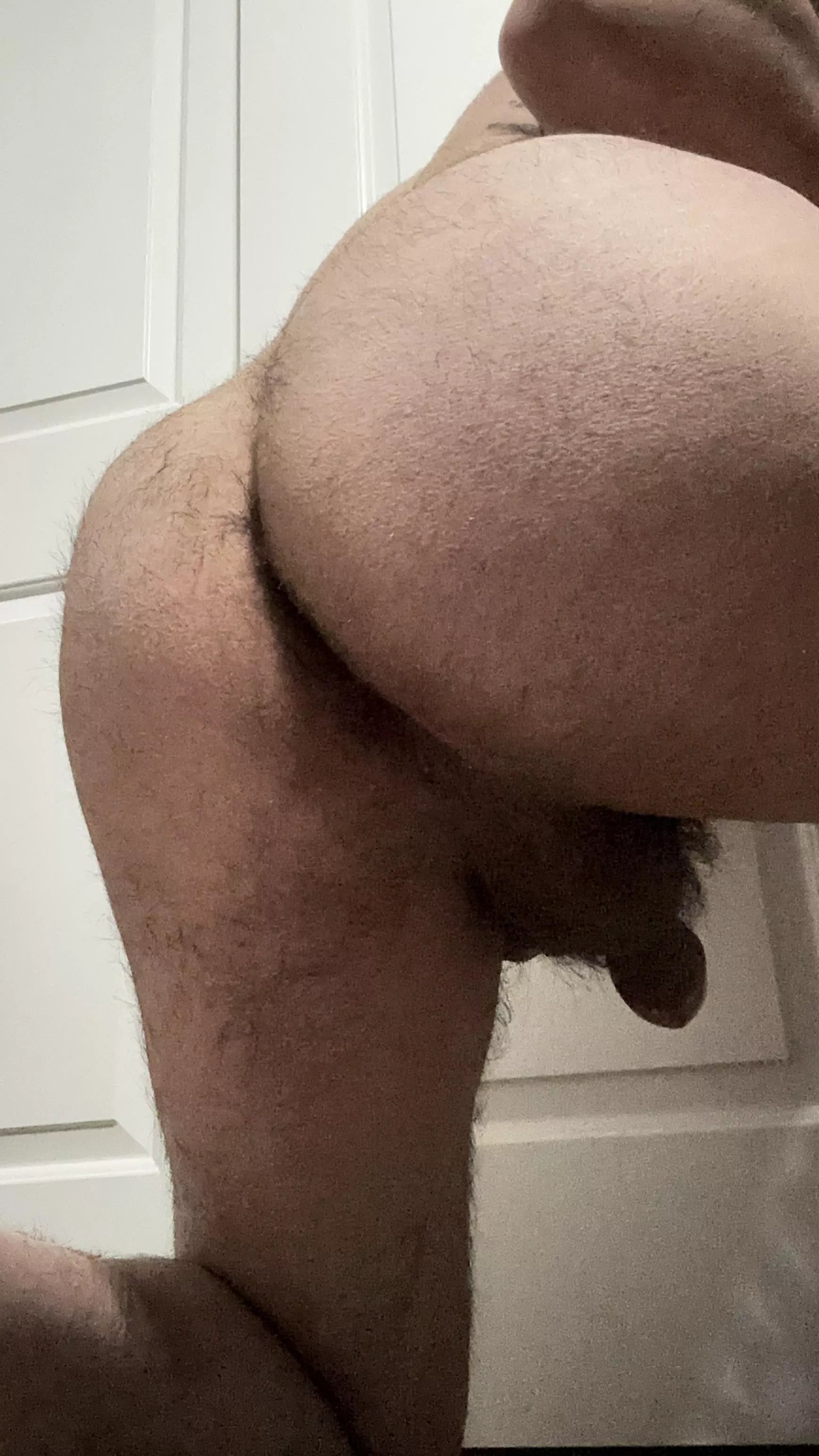 Would you fuck me. posted by Character_Acadia_48