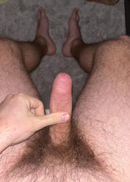 22 dc college guy here by average_pit_guy