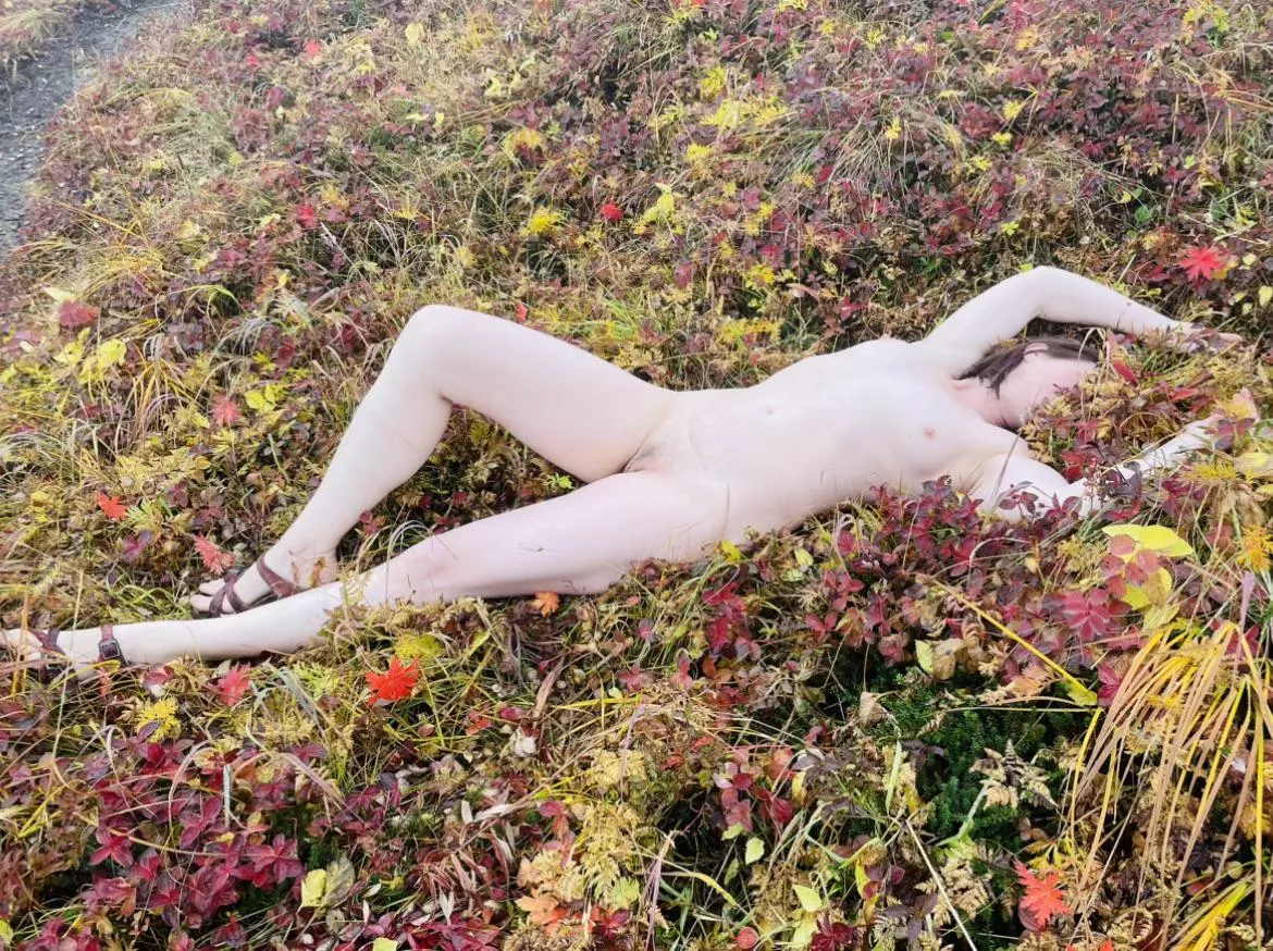 [41F] pale skin is perfect for showing off Alaska’s fall colors posted by a_good_fuck