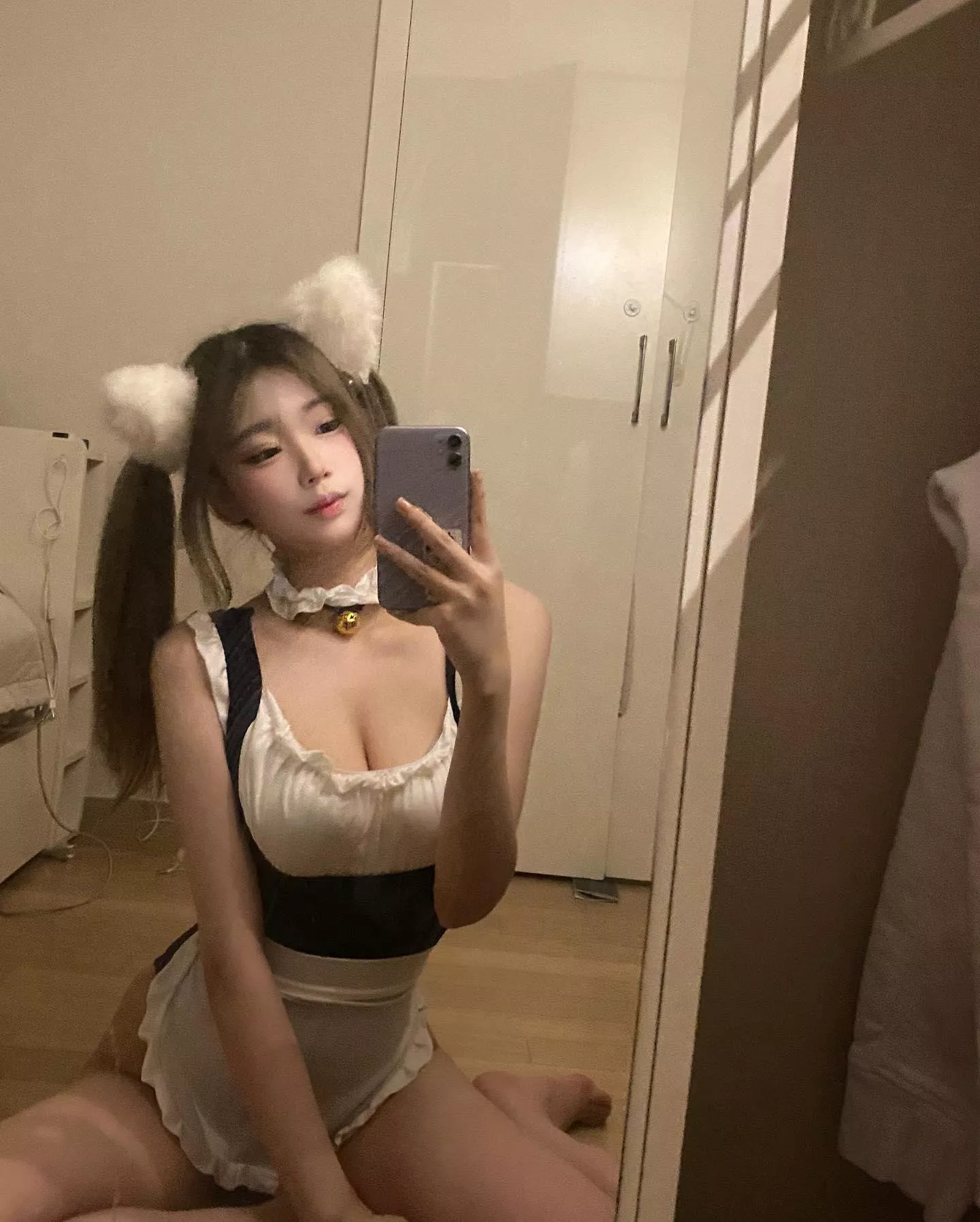 Anyone wants to adopt a cat? posted by Lopsided_You