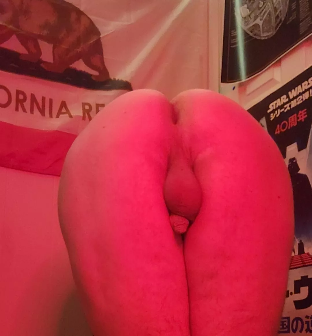 Be honest - would you fuck me? posted by dellarotten