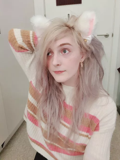 Boys* that meow by stardust_sigil