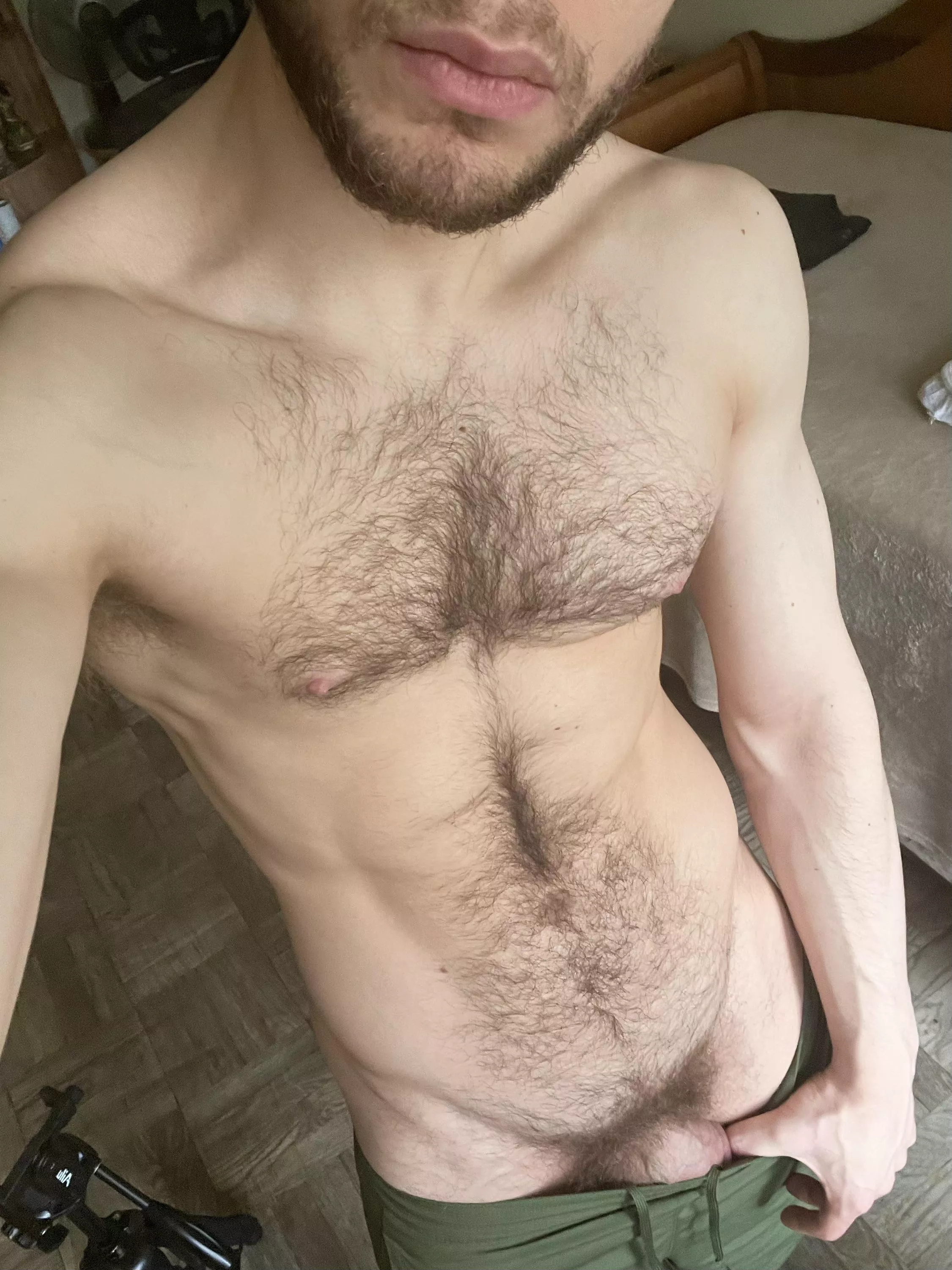 Bush matching the chest  posted by deoctubre