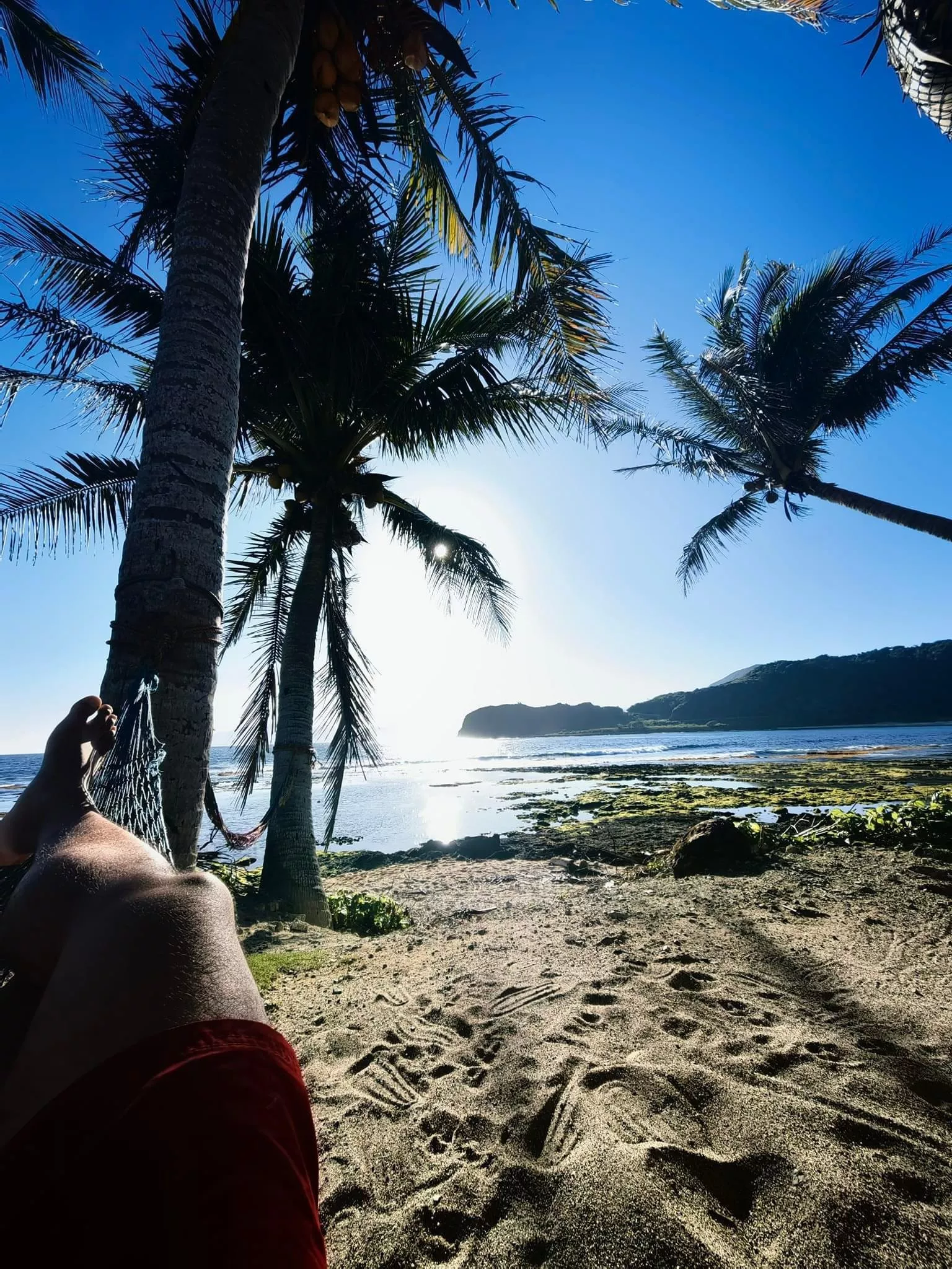 Chilling In Sri Lanka posted by Southern-Zazplug7141