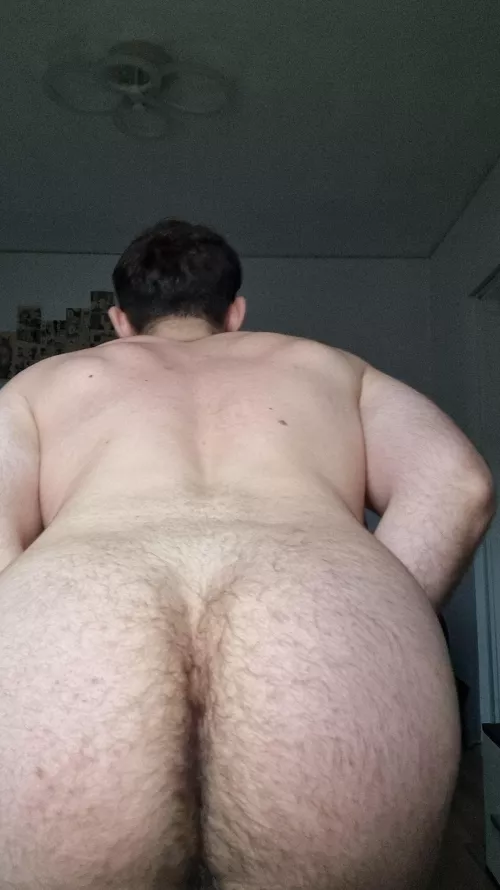 Do you like to eat ass even if it's hairy? Or should I shave? Be honest  by Luxationers