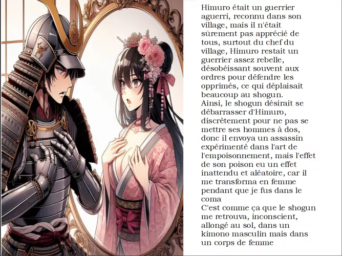 French Caption (art by TheMirrorsOtherSide, story made by myself) by Joueurdu59166