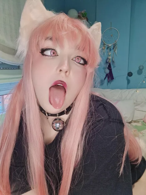 Good or naughty kitty? by WildLynx35