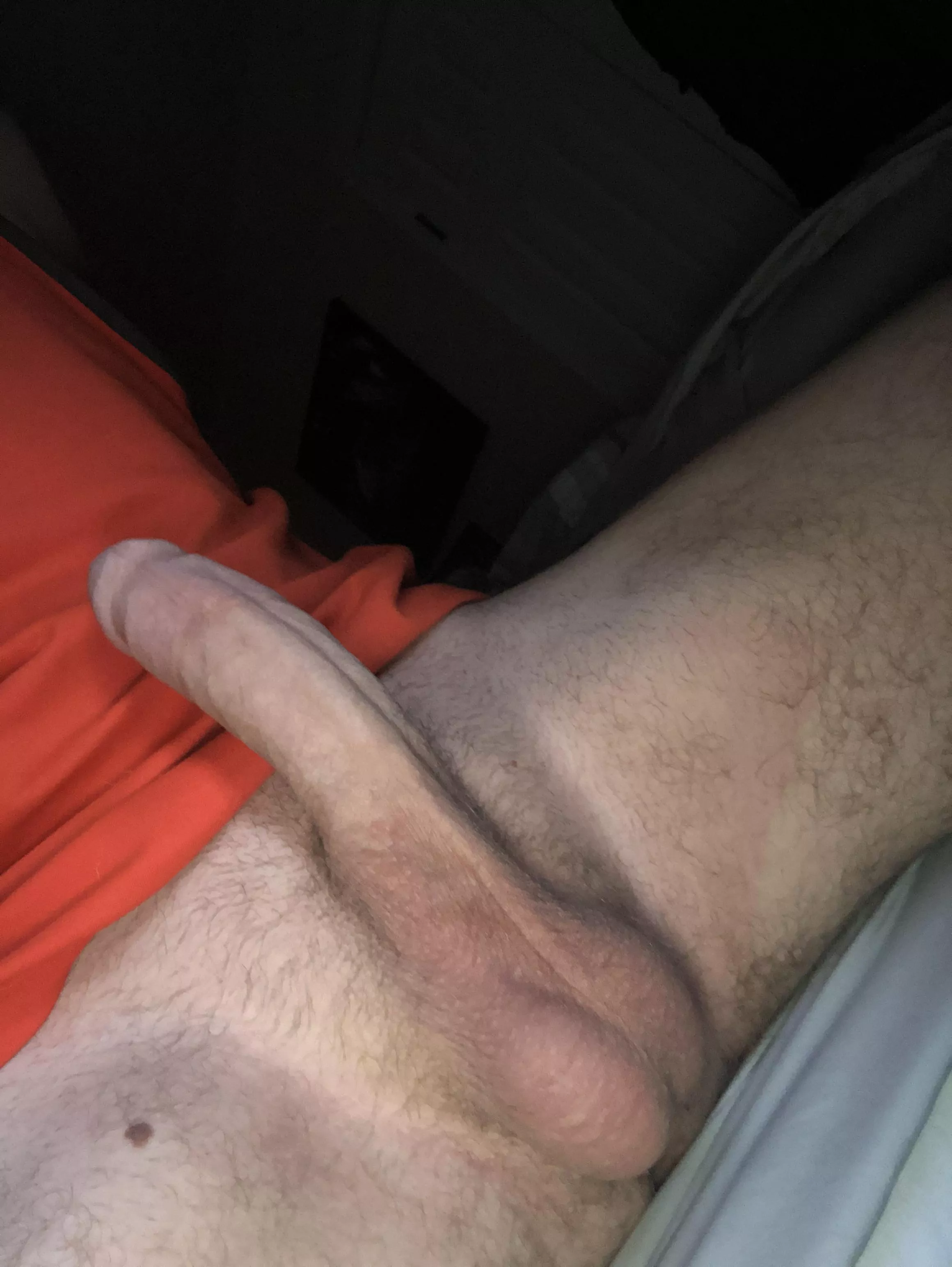 Happy hump day! posted by andrew0587