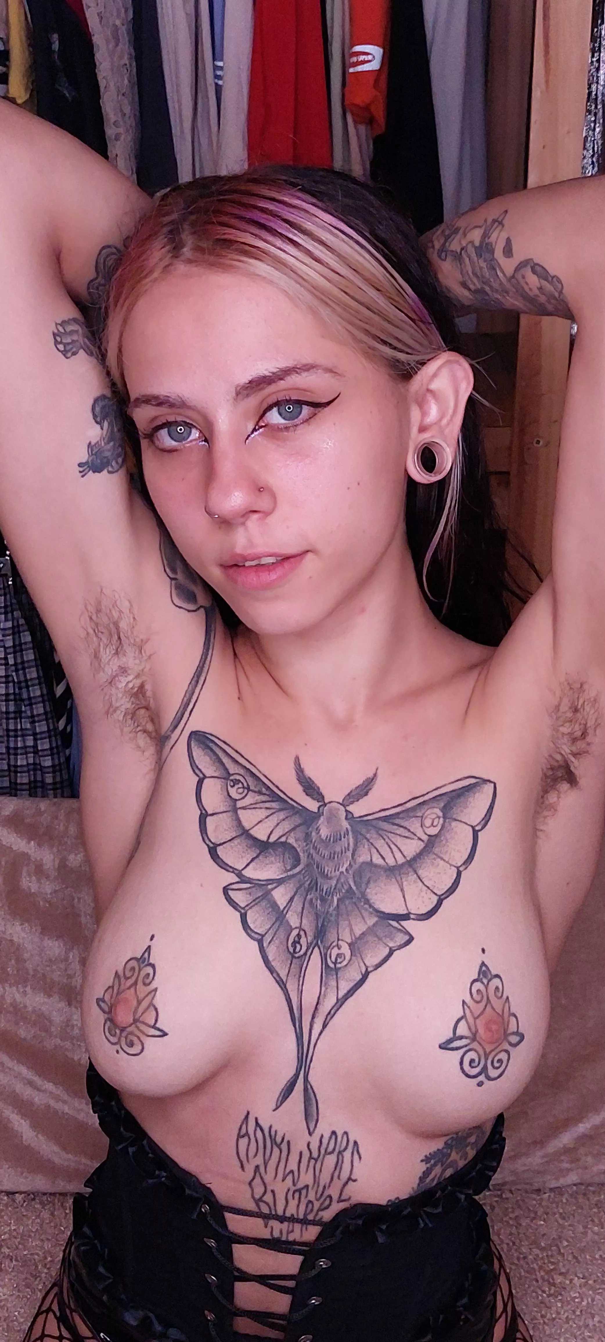 Hey! Wanna smell my pheromones? posted by uwuninu