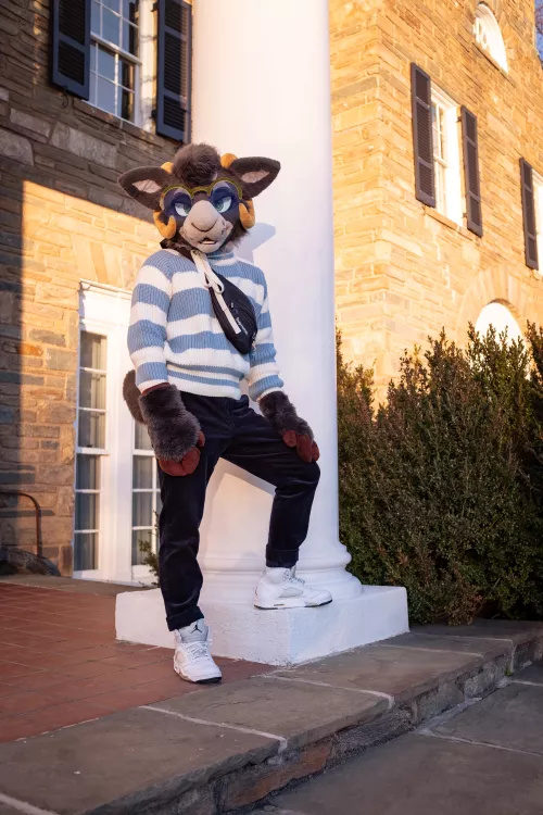 how do goats put on sweaters without tearing them by stayawayfromthealien