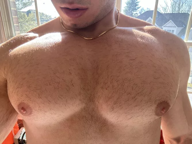 I hit my goal of bench 315 pounds today by PersianMasterReddit