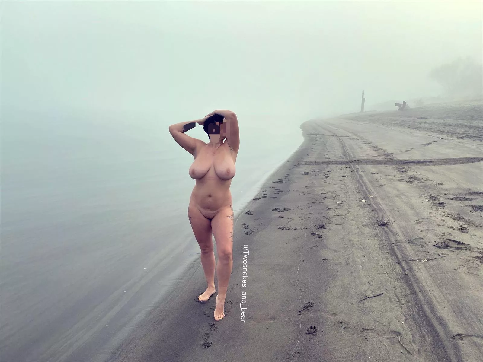 I miss foggy mornings in the PNW posted by Twosnakes_and_bear