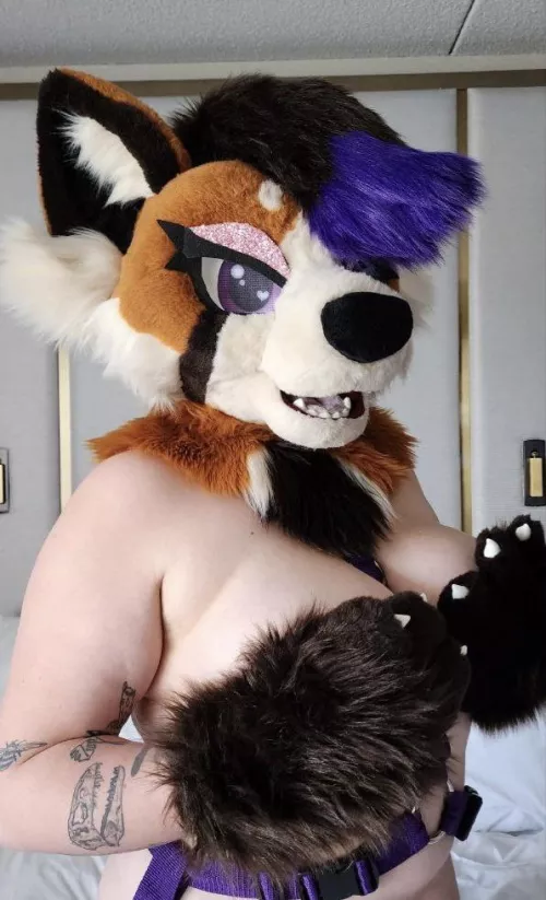 If you ask nicely I might move my paws 😘 by Nyx_At_Night69