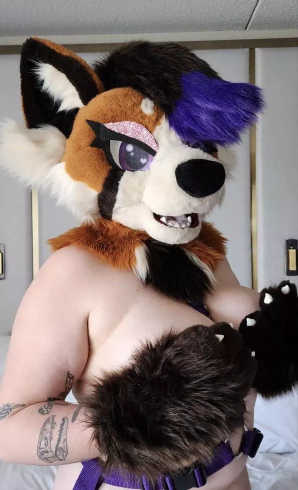 If you ask nicely I might move my paws 😘 posted by Nyx_At_Night69