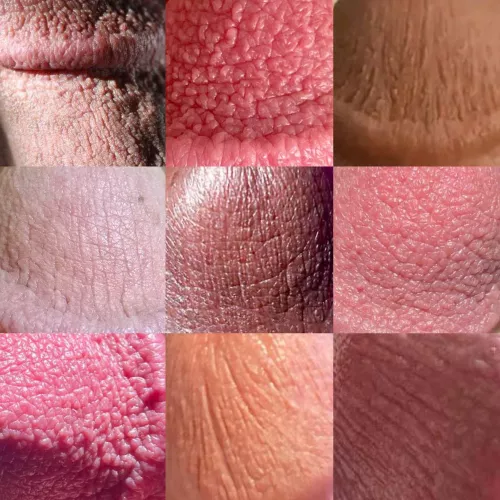 I’m creating a collage of various cut cock glans textures. Hoping to create a 9x9 grid at least. Dm me if you want to be added to the cut quilt! by satyrkeyon