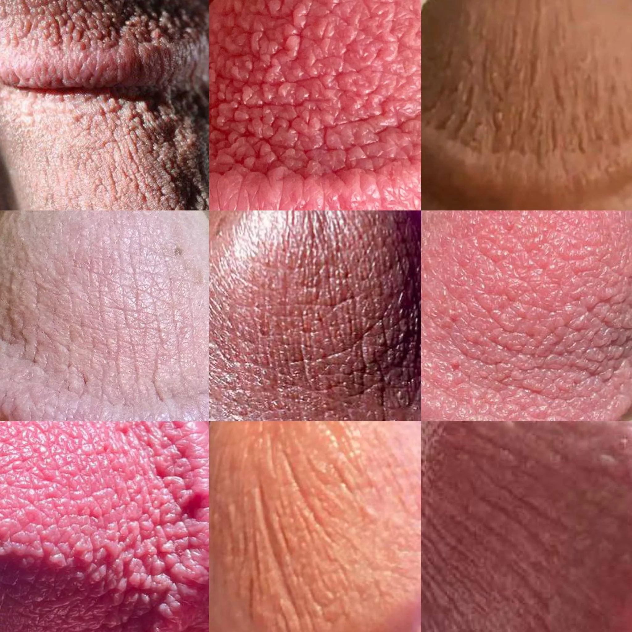 I’m creating a collage of various cut cock glans textures. Hoping to create a 9x9 grid at least. Dm me if you want to be added to the cut quilt! posted by satyrkeyon