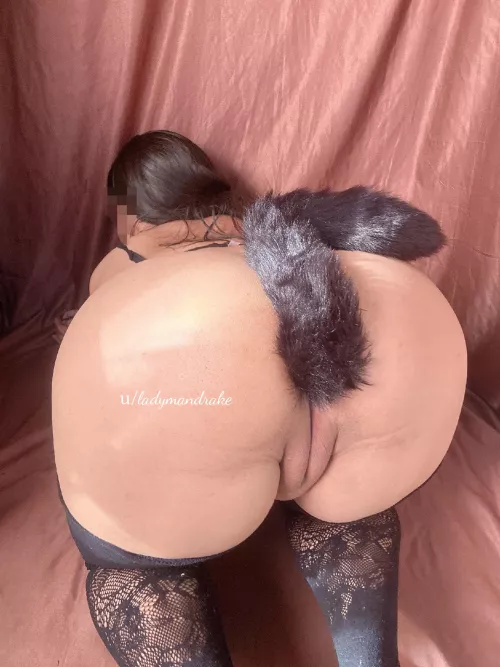 Is buttcheeks one word or should you spread them apart by ladymandrake