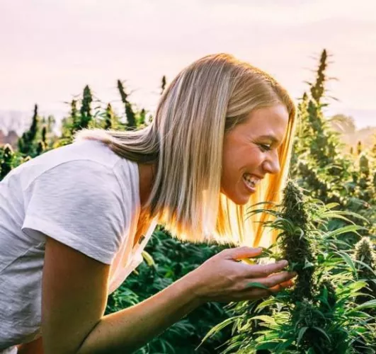 It took a lot of hard work, but I'm finally starting to get results from my new farm by Miss-SillyGirl