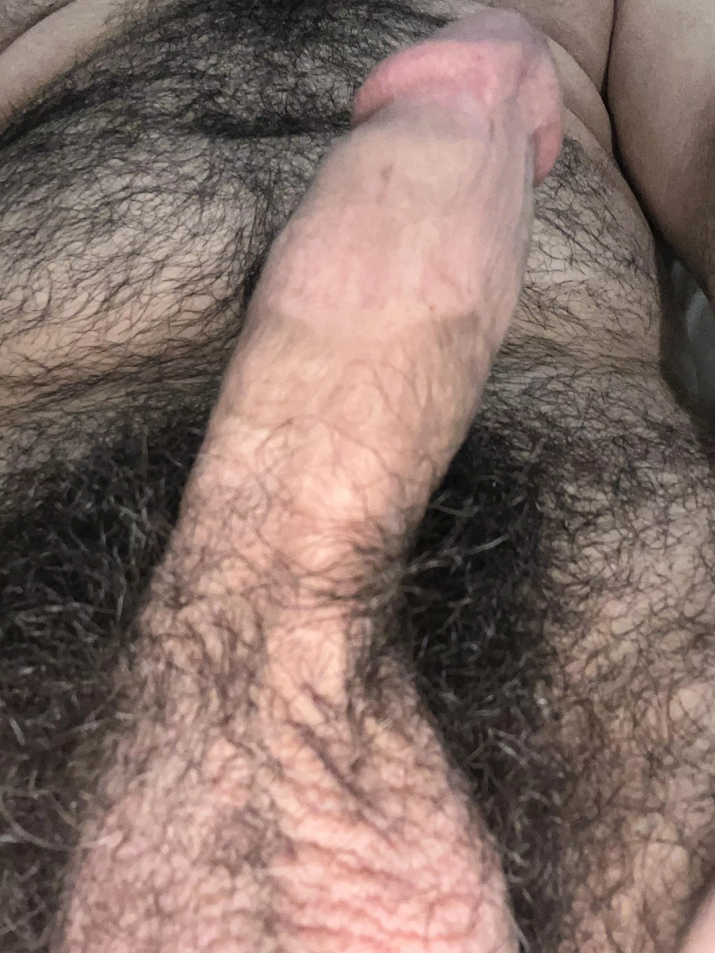 Jewish cut cock posted by Former_Judge6015