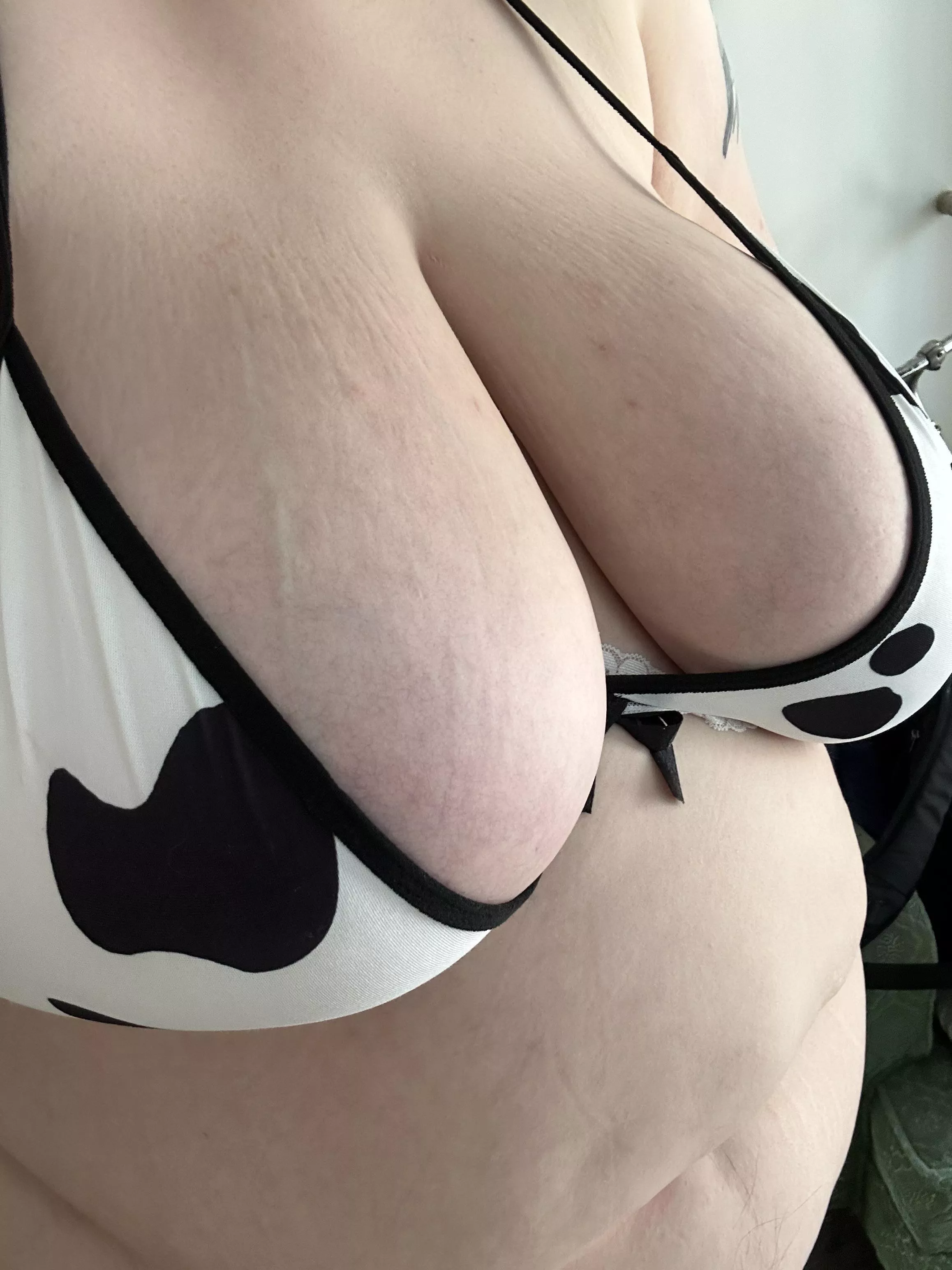 Just started a two week vacation and itching for something to do posted by pretty38H